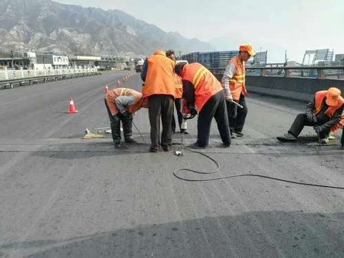 忻府道路桥梁病害治理